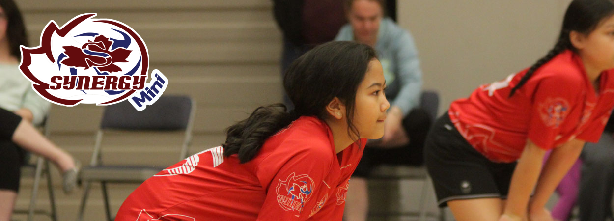 clarestapurwanto-pass