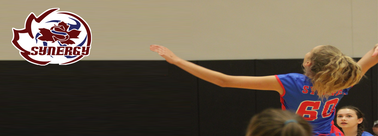 makaelagelowitz-attack